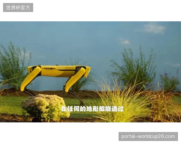 无人工干预的赛事推流即将在低级别联赛普及